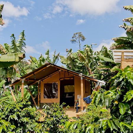 Hotel Glamping Jardín Exteriér fotografie
