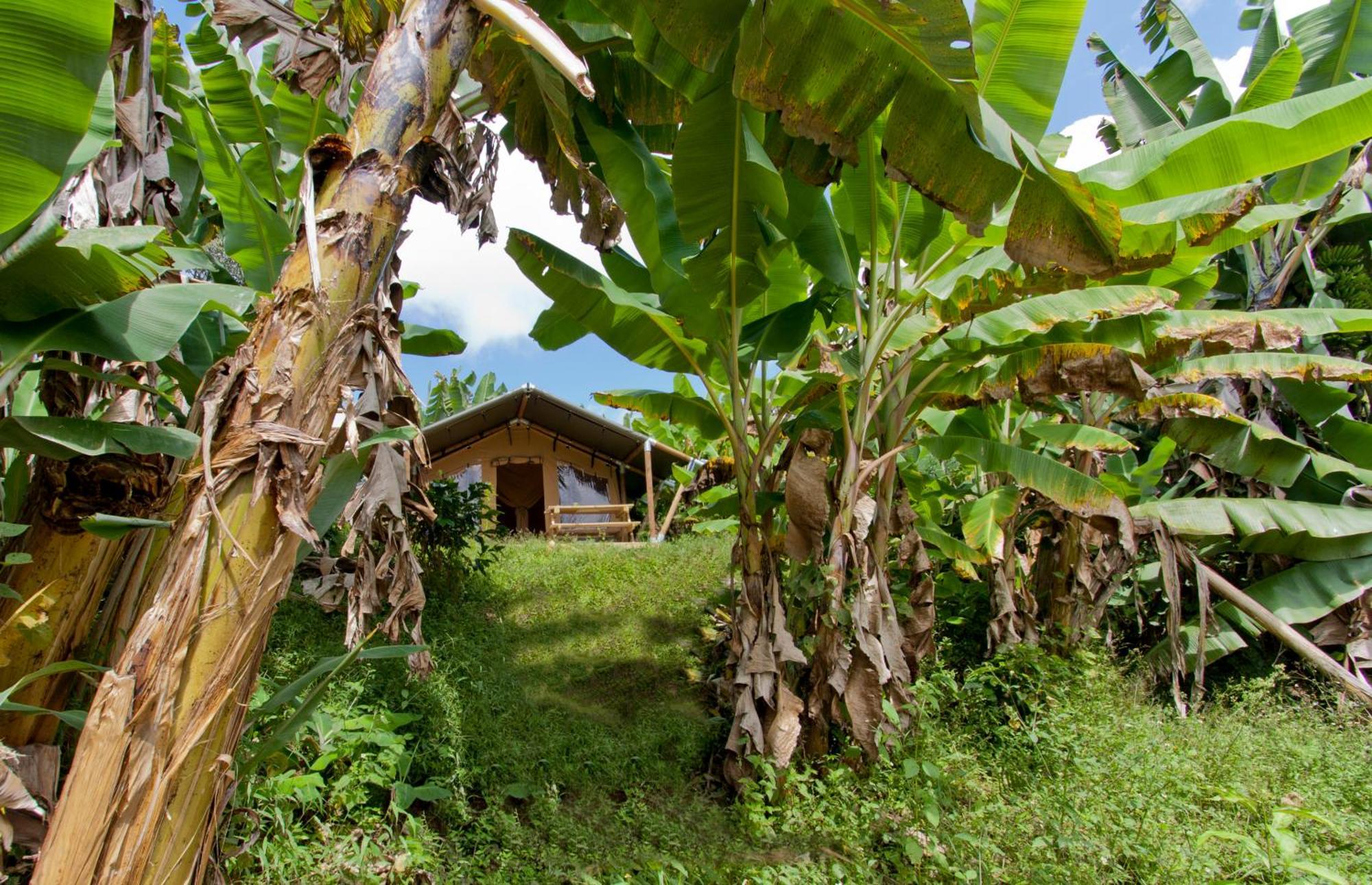 Hotel Glamping Jardín Exteriér fotografie